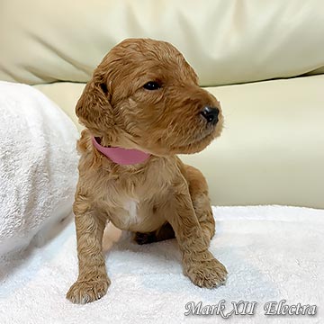 �X�^���v�[�e��